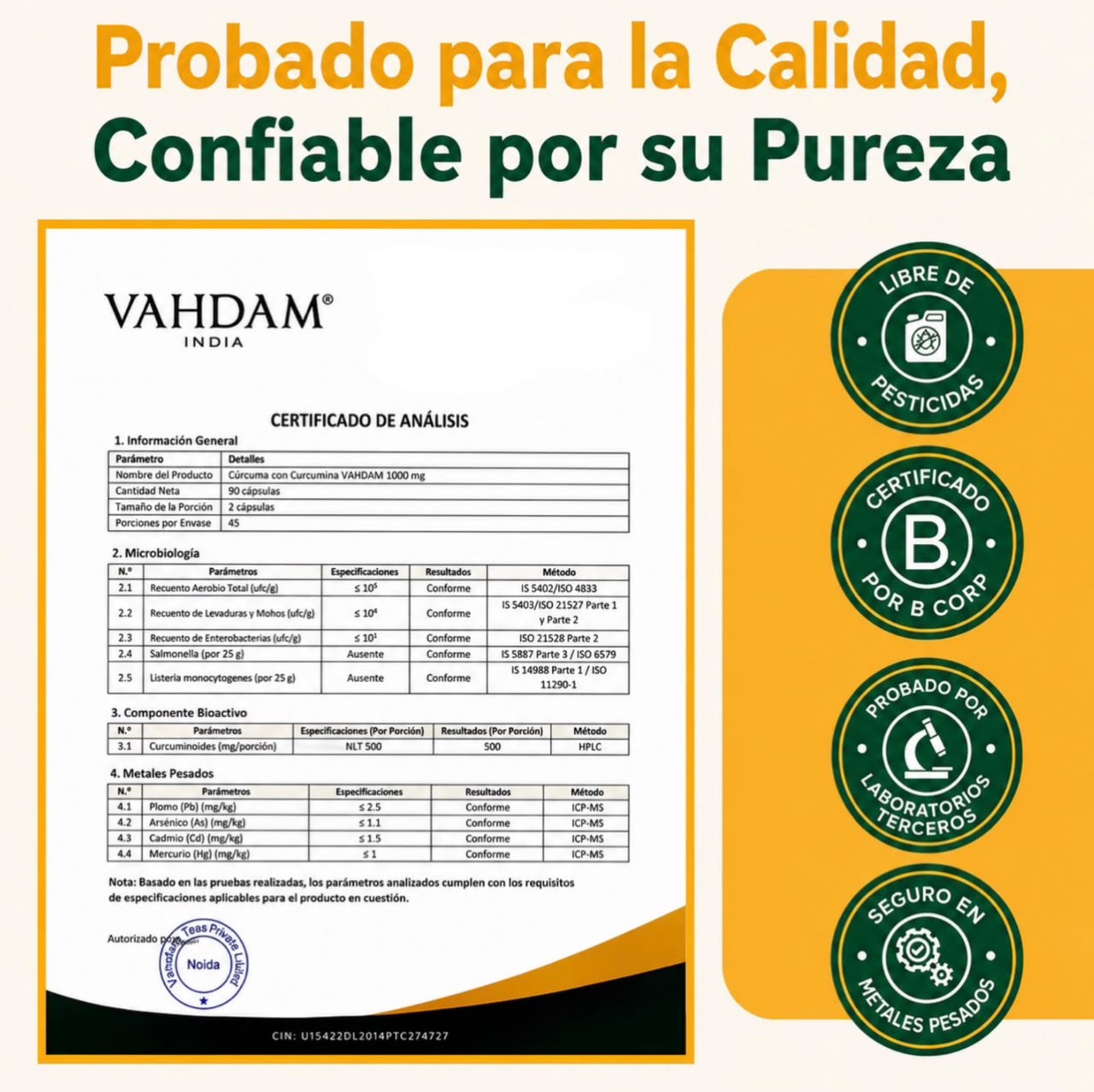 Suplemento de cúrcuma y curcumina Lakadong - Apoyo antiinflamatorio